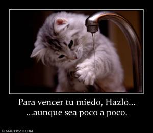 Para vencer tu miedo, Hazlo... ...aunque sea poco a poco.