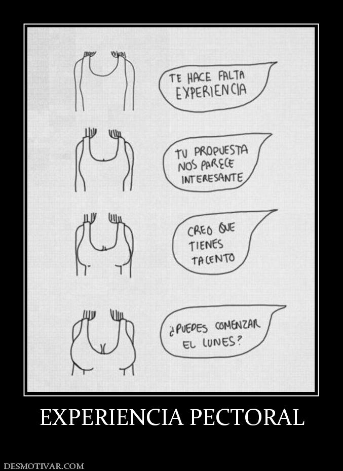 EXPERIENCIA PECTORAL