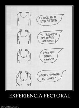 EXPERIENCIA PECTORAL