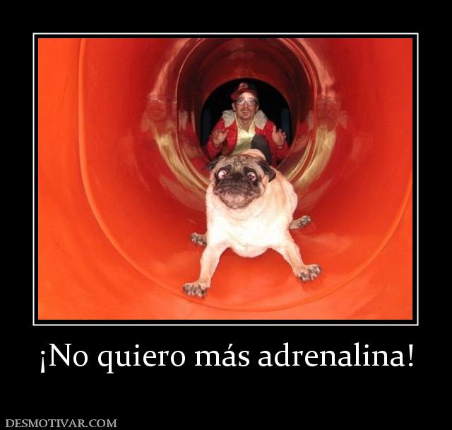 ¡No quiero más adrenalina!