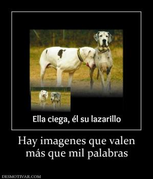 Hay imagenes que valen más que mil palabras