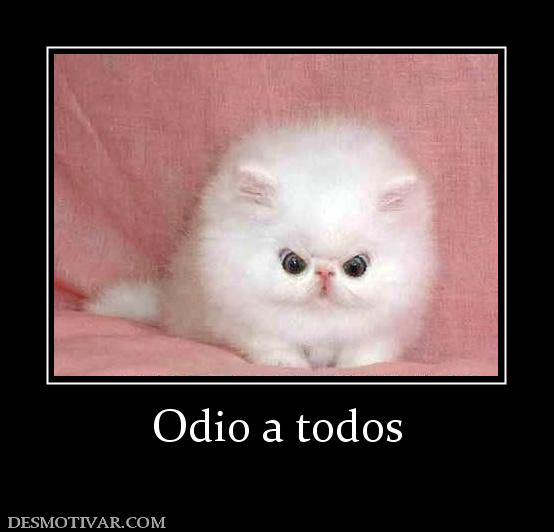Odio a todos