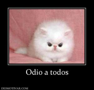 Odio a todos