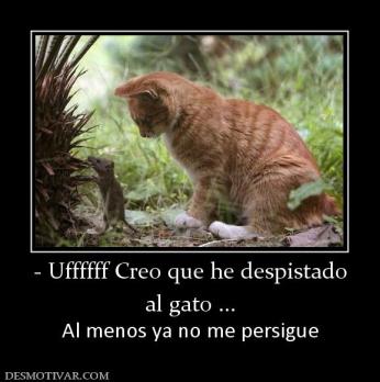 - Uffffff Creo que he despistado al gato ... Al menos ya no me persigue