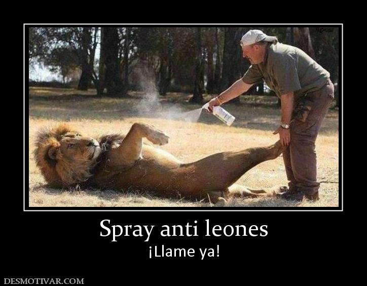 Spray anti leones ¡Llame ya!