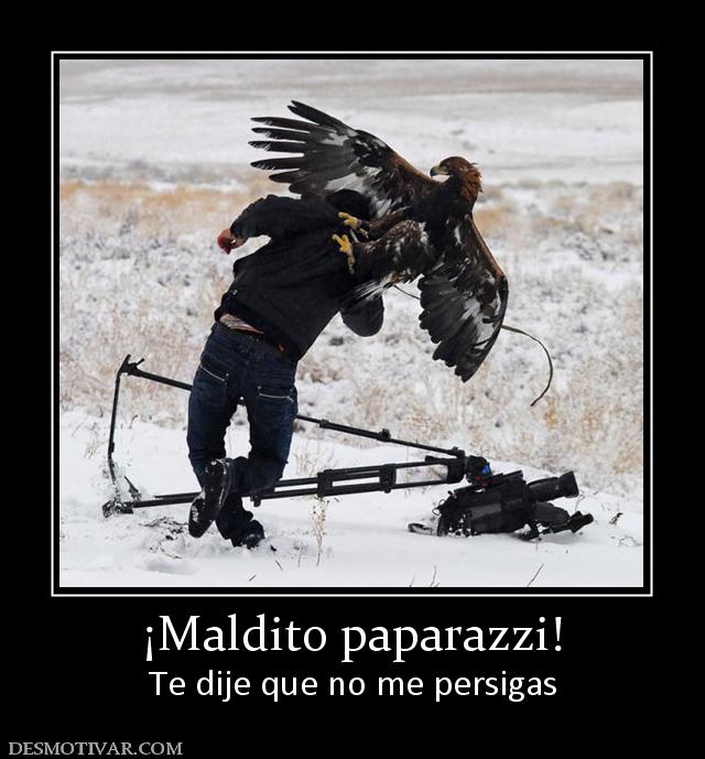 ¡Maldito paparazzi! Te dije que no me persigas