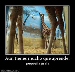 Aun tienes mucho que aprender pequeña jirafa