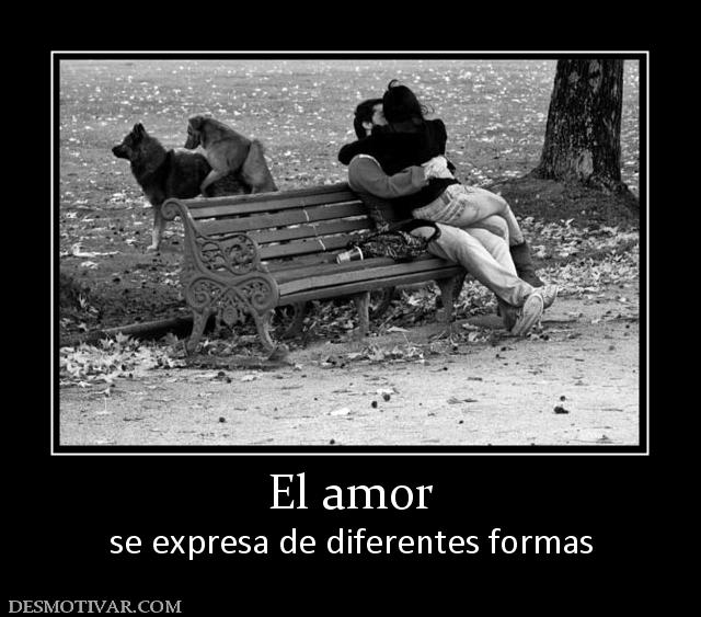El amor se expresa de diferentes formas