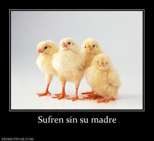 Sufren sin su madre