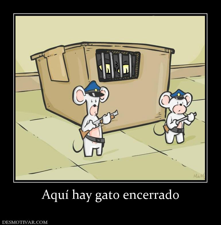 Aquí hay gato encerrado