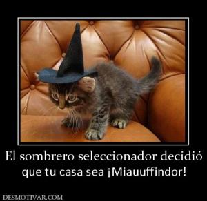 El sombrero seleccionador decidió que tu casa sea ¡Miauuffindor!