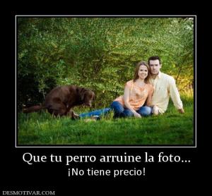 Que tu perro arruine la foto... ¡No tiene precio!
