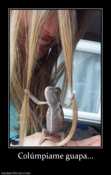 Colúmpiame guapa...