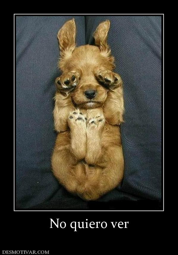 No quiero ver