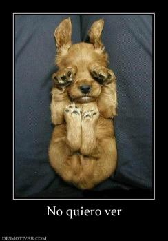 No quiero ver