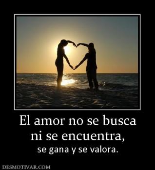 El amor no se busca ni se encuentra,  se gana y se valora.