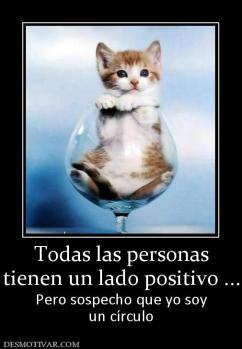 Todas las personas tienen un lado positivo ... Pero sospecho que yo soy un círculo