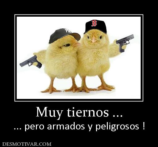 Muy tiernos ... ... pero armados y peligrosos !