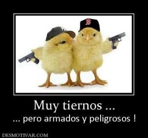 Muy tiernos ... ... pero armados y peligrosos !