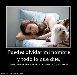 Puedes olvidar mi nombre y todo lo que dije,  pero nunca vas a olvidar como te hice sentir.