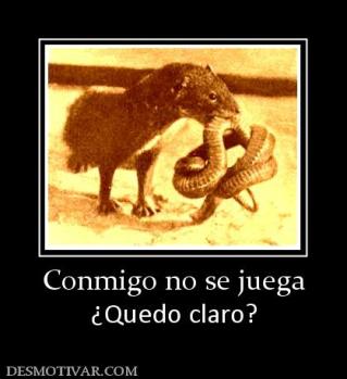 Conmigo no se juega ¿Quedo claro?