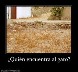 ¿Quién encuentra al gato?