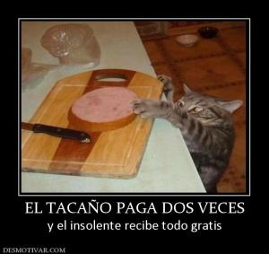 EL TACAÑO PAGA DOS VECES y el insolente recibe todo gratis