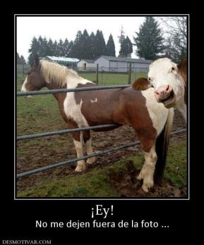 ¡Ey! No me dejen fuera de la foto ...