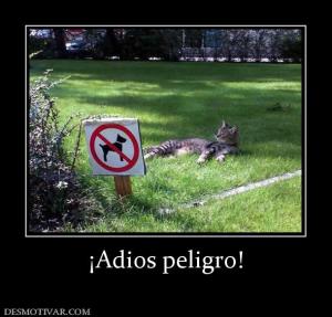 ¡Adios peligro!