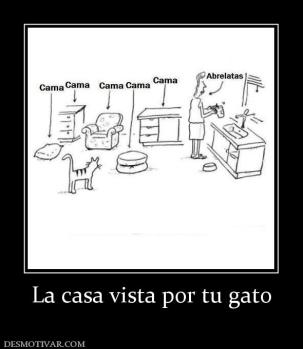 La casa vista por tu gato