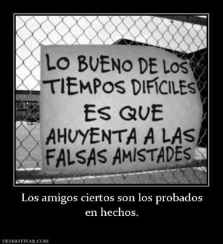 Los amigos ciertos son los probados en hechos.