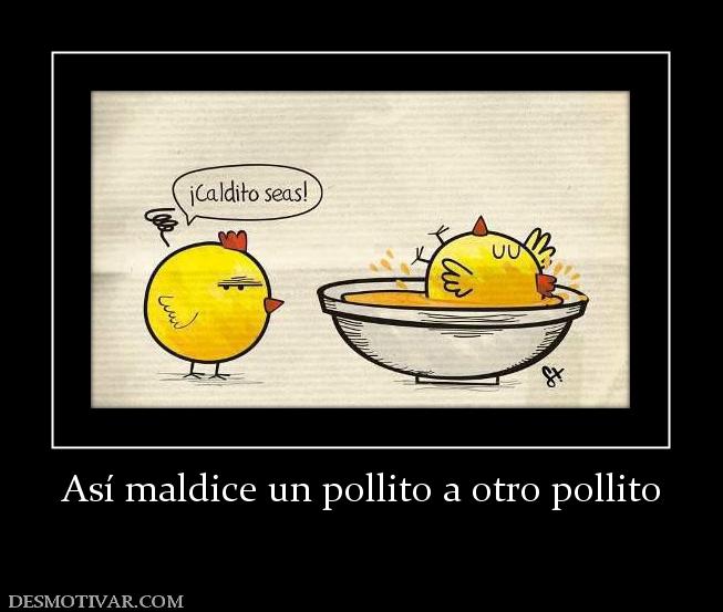 Así maldice un pollito a otro pollito