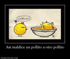 Así maldice un pollito a otro pollito