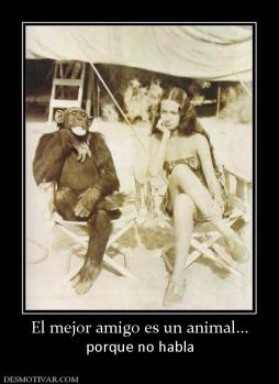 El mejor amigo es un animal... porque no habla