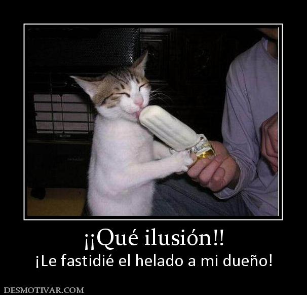 ¡¡Qué ilusión!! ¡Le fastidié el helado a mi dueño!