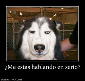 ¿Me estas hablando en serio?