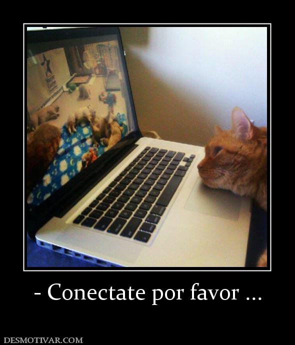 - Conectate por favor ...