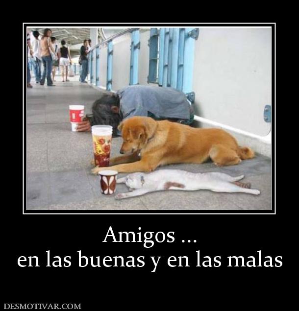 Amigos ... en las buenas y en las malas