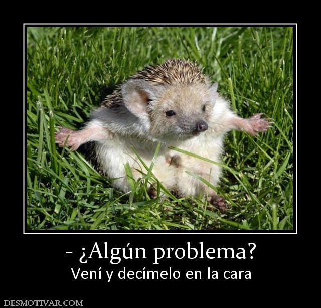 - ¿Algún problema? Vení y decímelo en la cara
