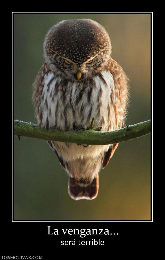 La venganza... será terrible