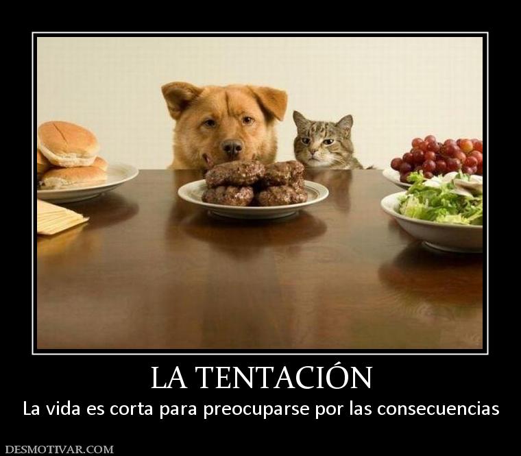 LA TENTACIÓN La vida es corta para preocuparse por las consecuencias