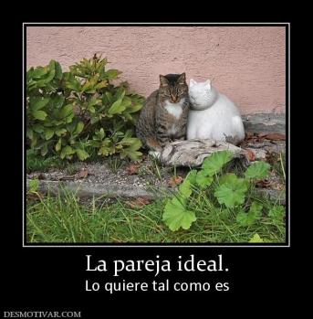 La pareja ideal. Lo quiere tal como es