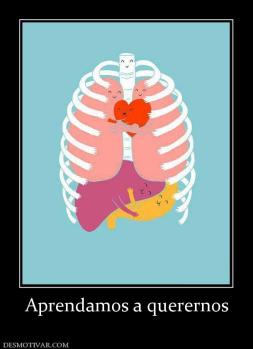 Aprendamos a querernos