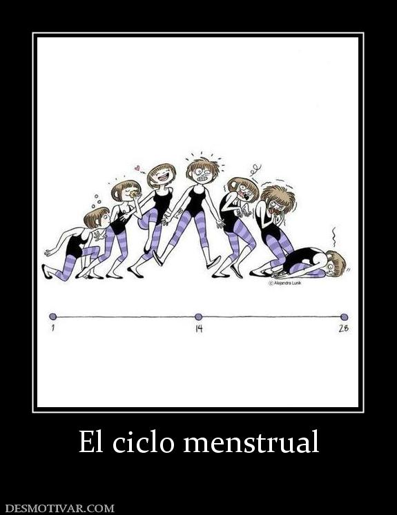 El ciclo menstrual