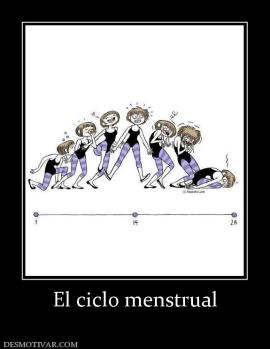 El ciclo menstrual