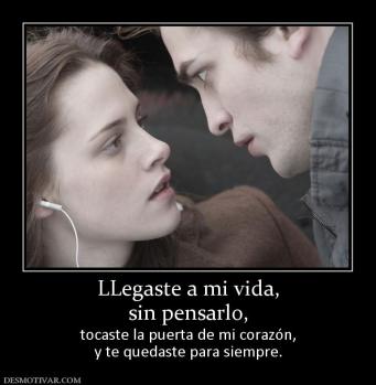 LLegaste a mi vida, sin pensarlo, tocaste la puerta de mi corazón, y te quedaste para siempre.