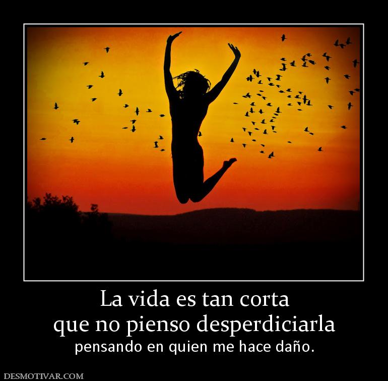 La vida es tan corta que no pienso desperdiciarla  pensando en quien me hace daño.