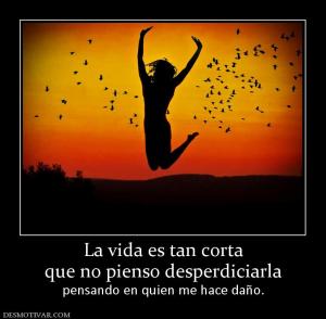 La vida es tan corta que no pienso desperdiciarla  pensando en quien me hace daño.