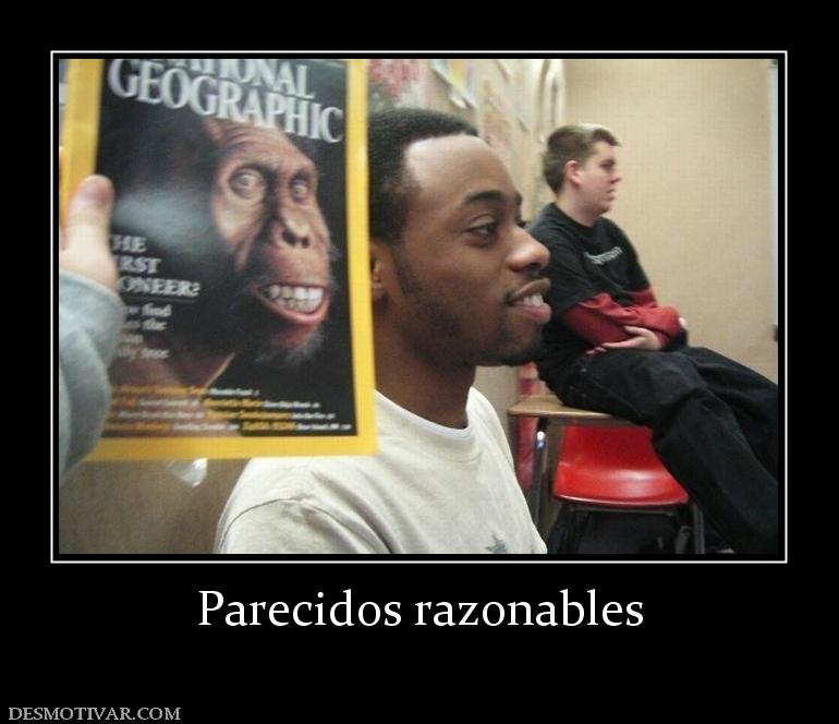 Parecidos razonables