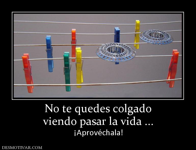 No te quedes colgado viendo pasar la vida ... ¡Aprovéchala!